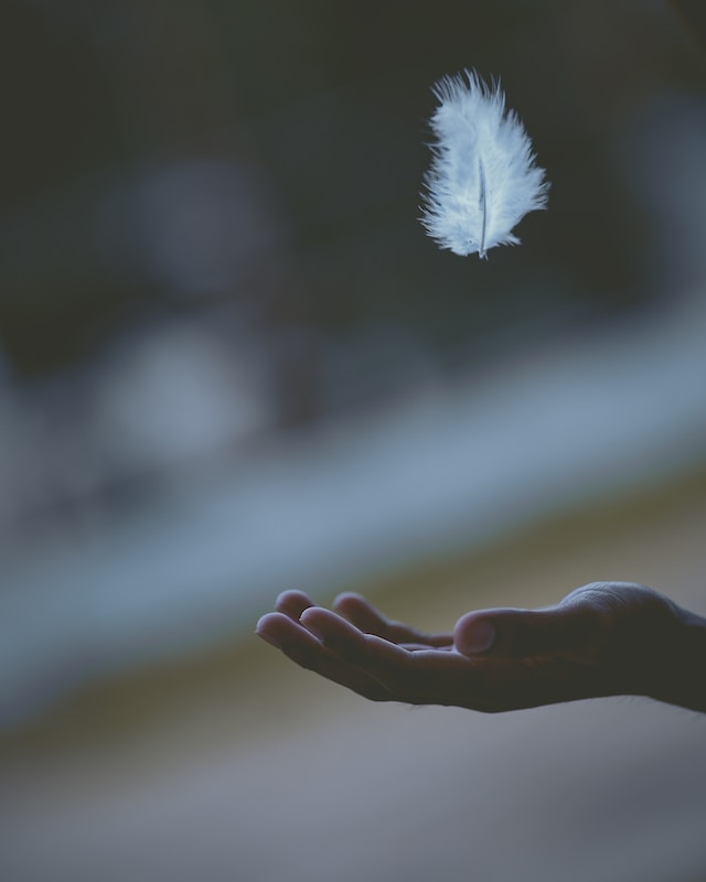 hand underneath a feather