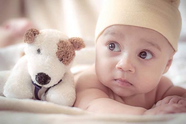 baby laying next to a stuffed dog animal